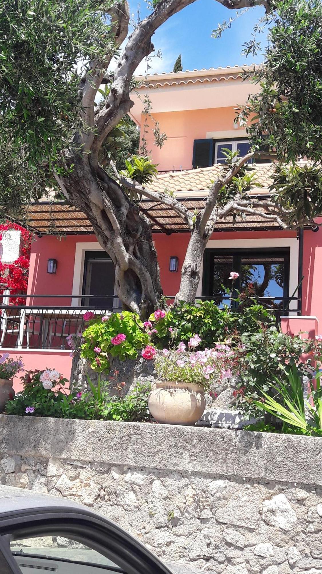 Rapanos Apartments Paleokastritsa Buitenkant foto